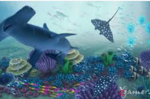 金沙足球正版app下载客户端